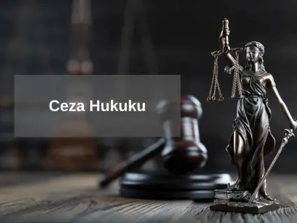 Ceza Avukatı